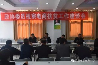 文县召开市、县政协委员视察电商扶贫工作座谈